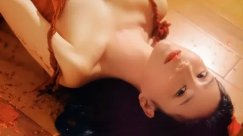 独家好片热映