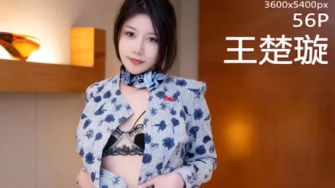 国产精品片源App免费视频源